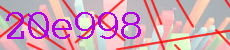 20e998