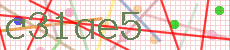c31ae5